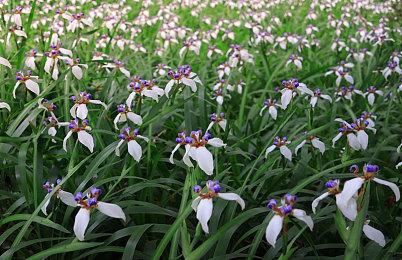 游戏工委：坚决抵制绕过监管 通过境外游戏平台向国内用户提供服务